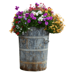 Flowers in Tall Wood Planter