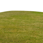 Grass on Hill
